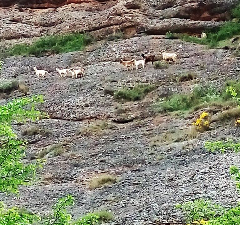 image_172627_31.jpg