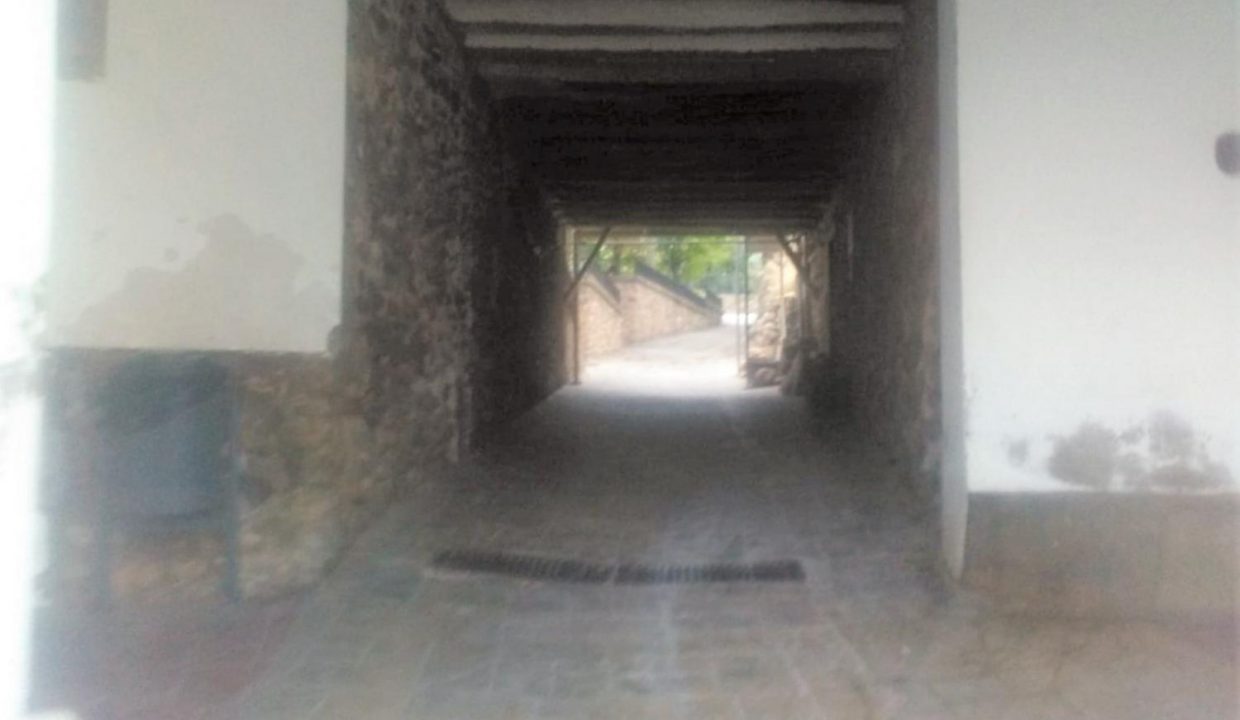 image_173400_6.jpg