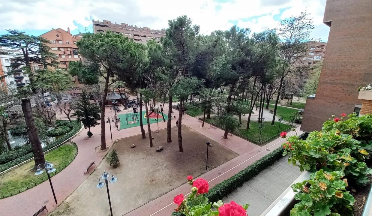 image_179269_9.jpg