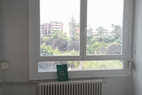 image_184805_10.jpg
