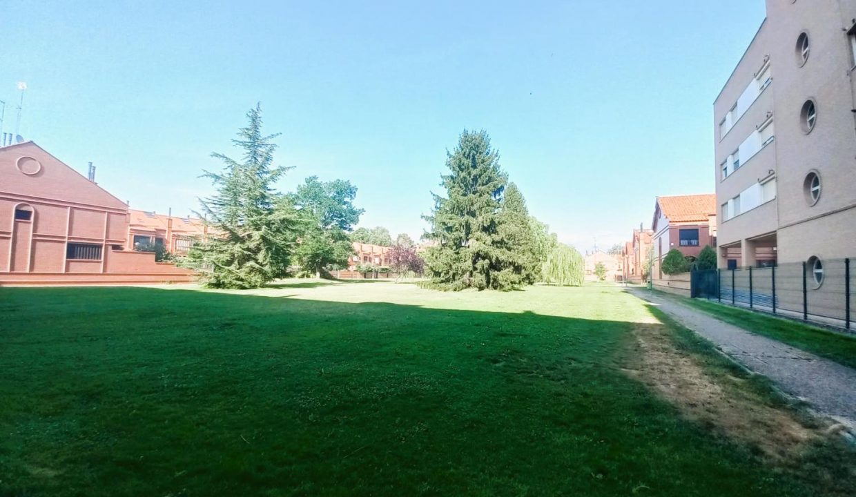 image_207290_36.jpg
