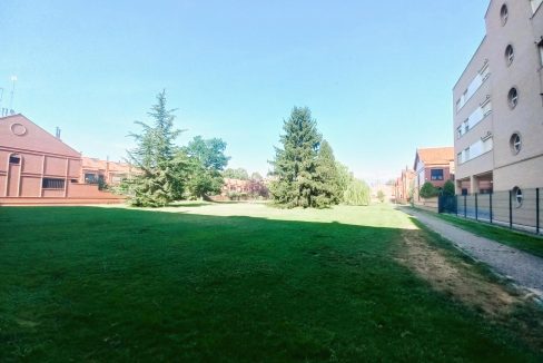 image_207290_36.jpg