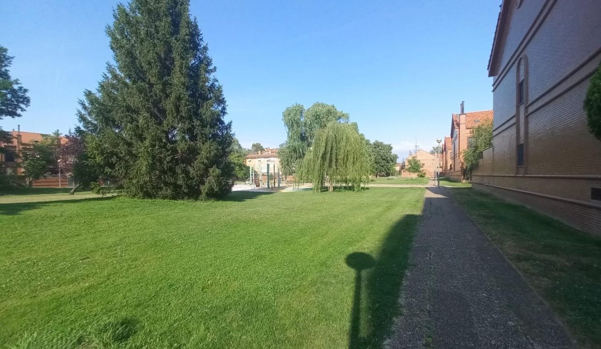 image_207290_37.jpg
