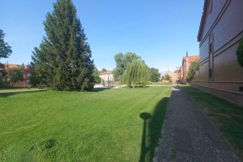 image_207290_37.jpg