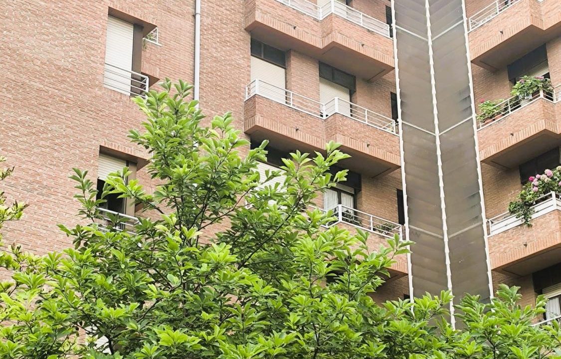 image_207331_25.jpg