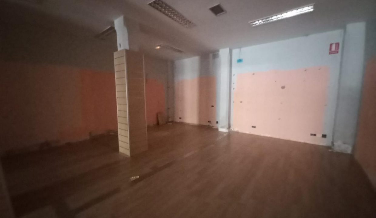 image_208687_2.jpg