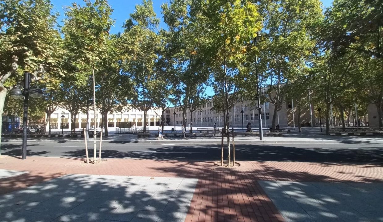 image_208687_4.jpg