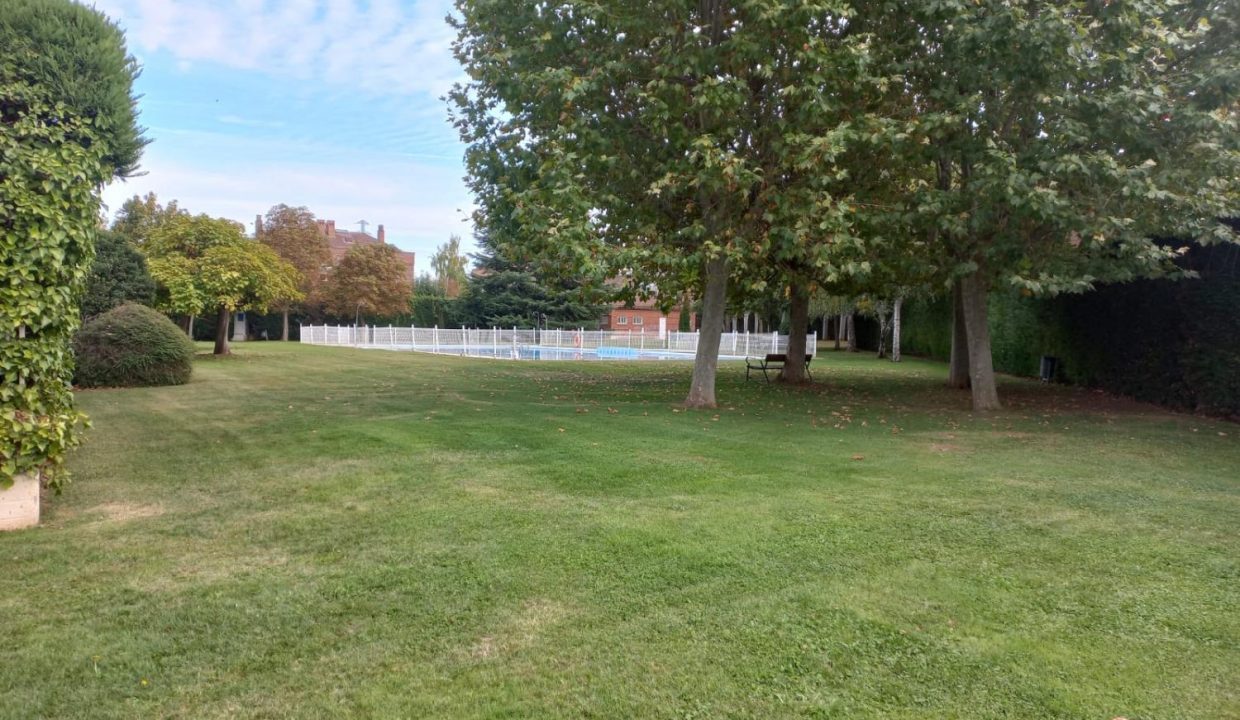image_208751_21.jpg