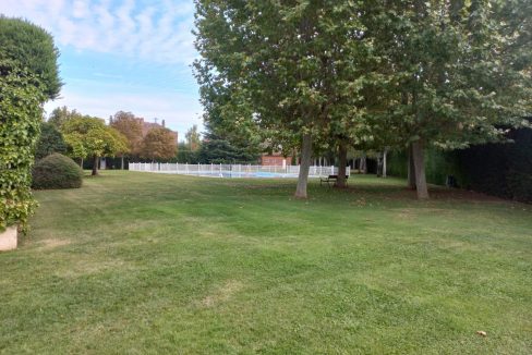 image_208751_21.jpg