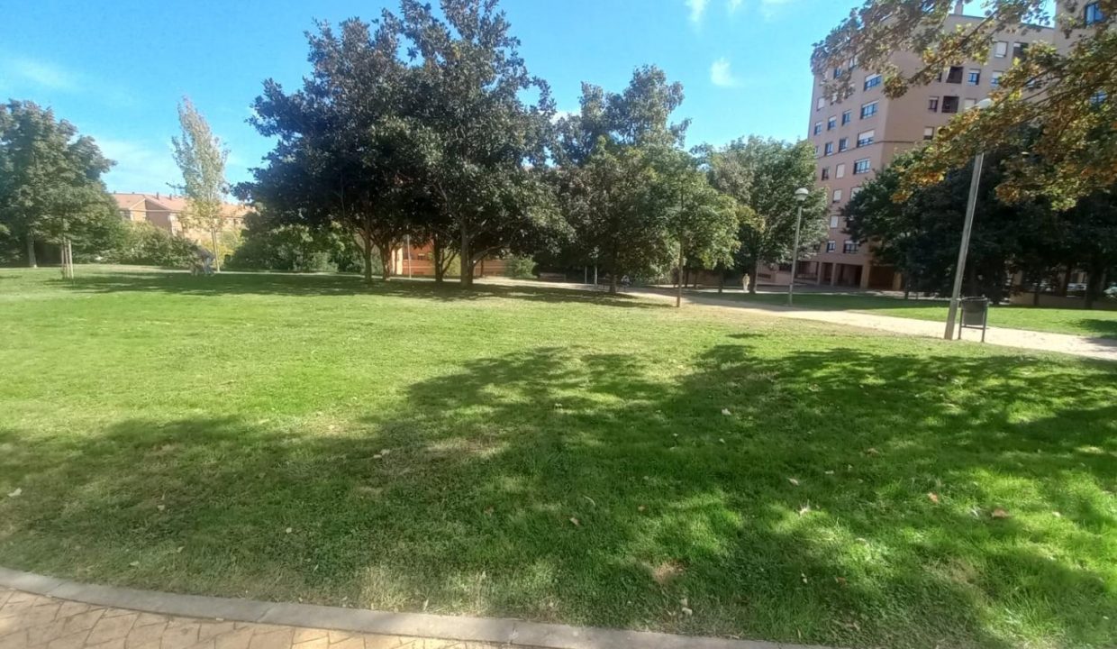 image_208885_21.jpg