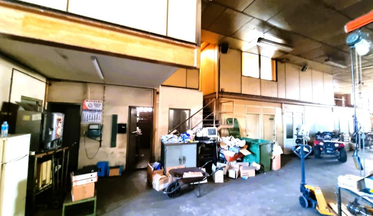 image_209016_4.jpg
