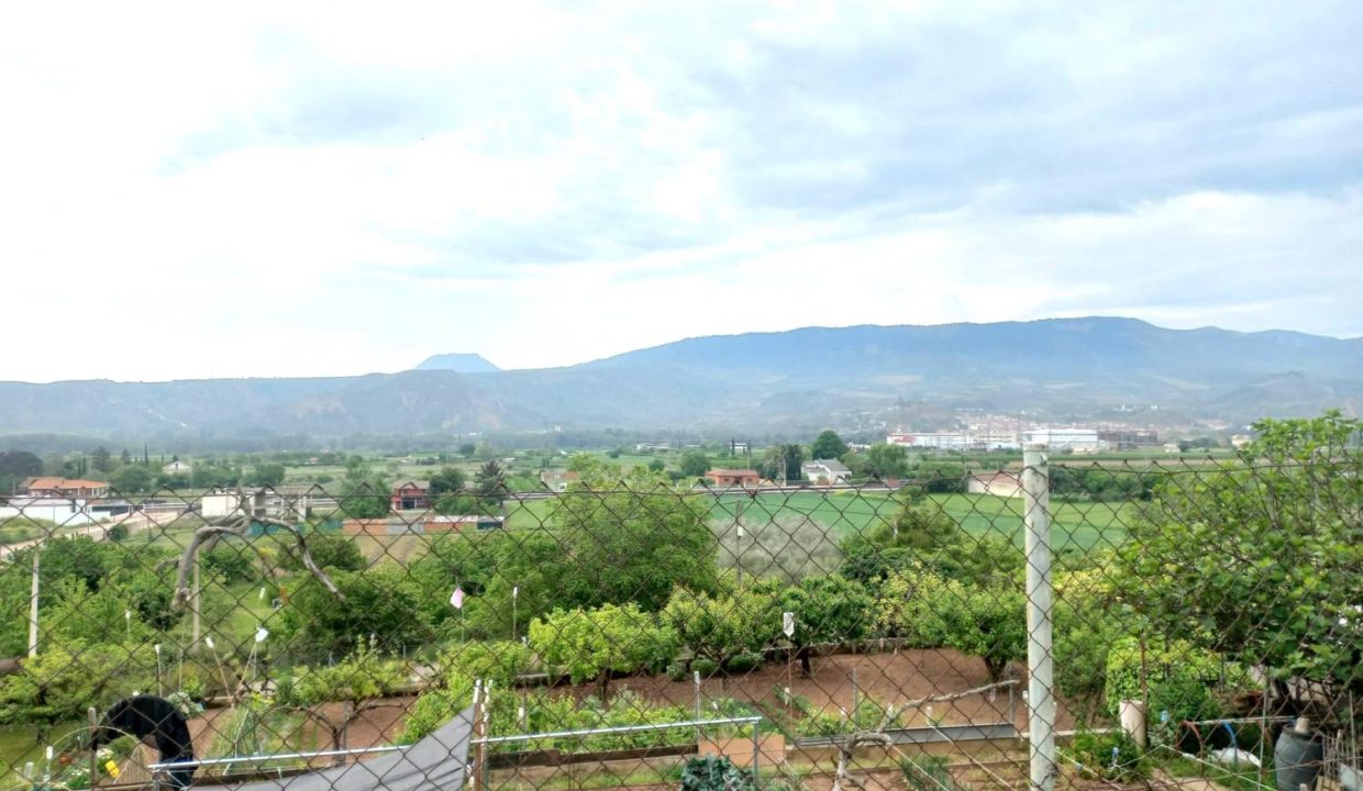image_216398_16.jpg