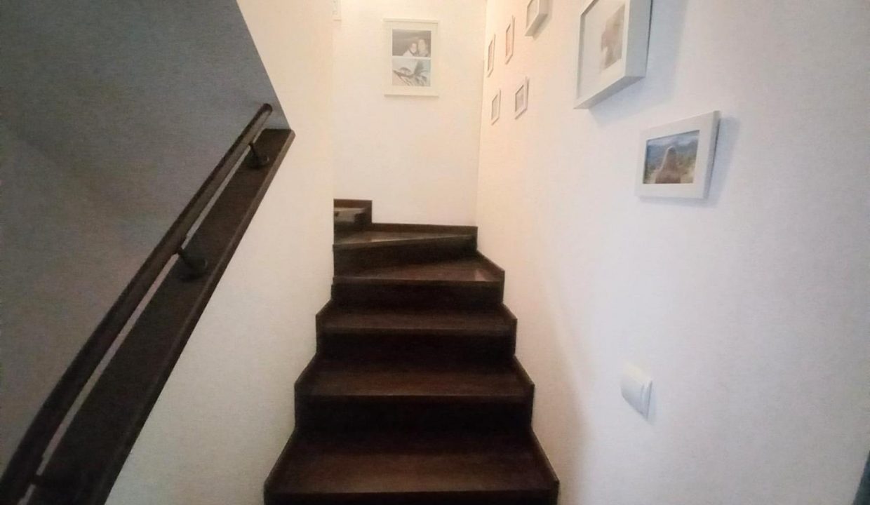 image_217143_43.jpg