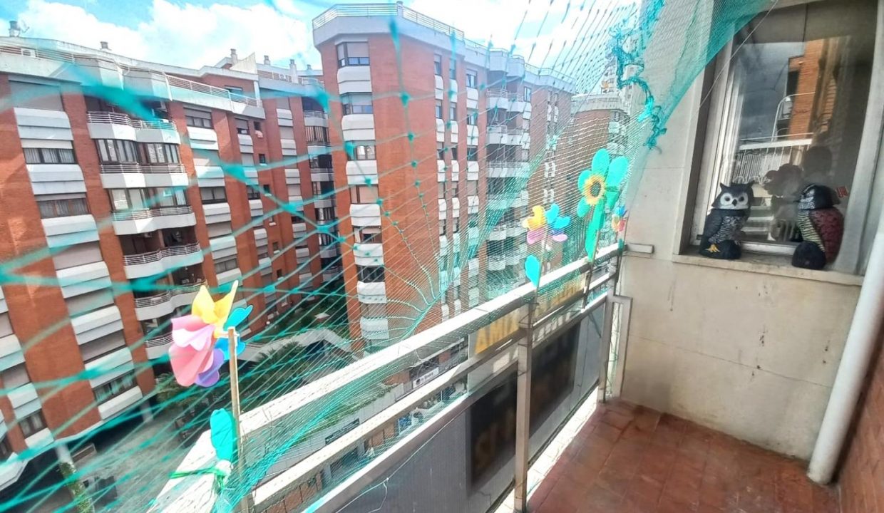 image_217878_24.jpg