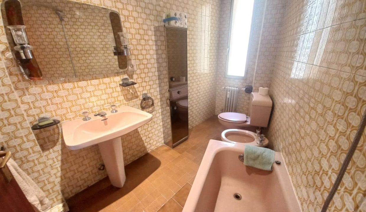 image_217878_31.jpg
