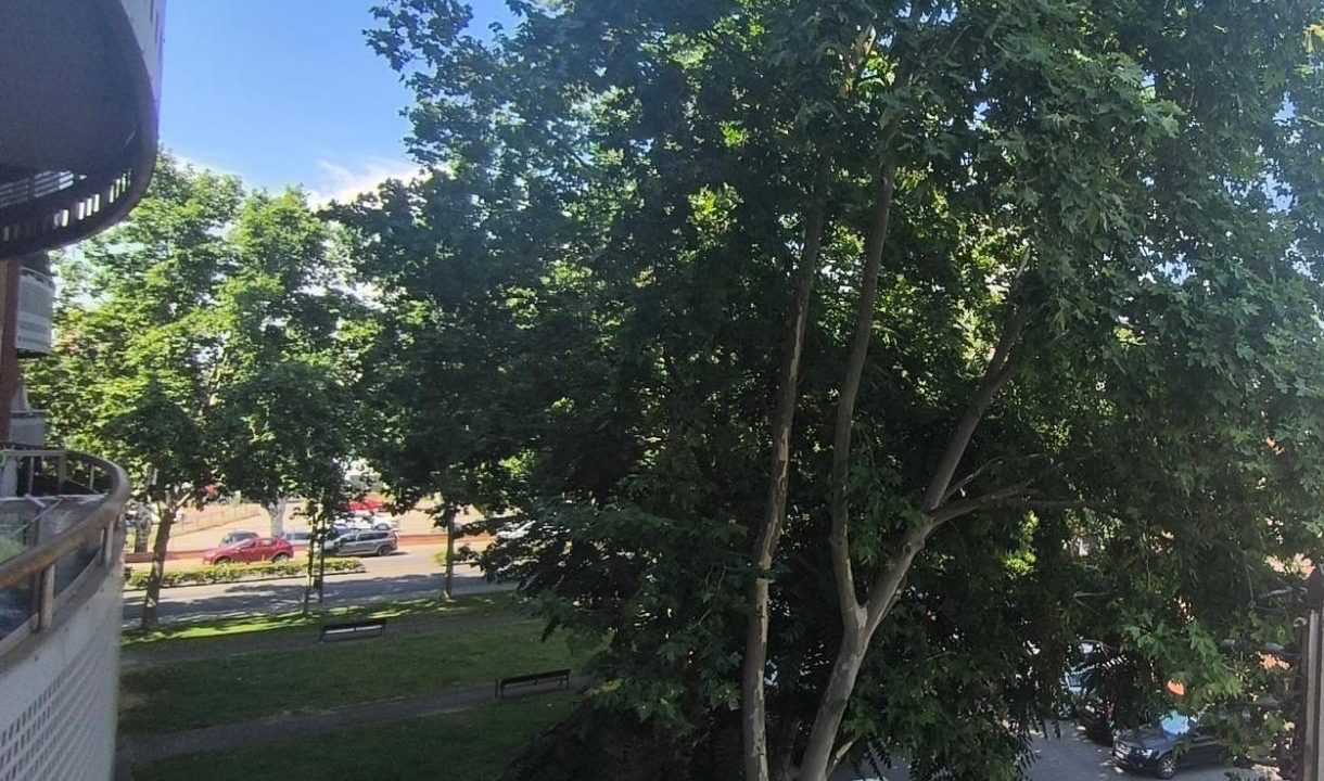 image_217971_18.jpg