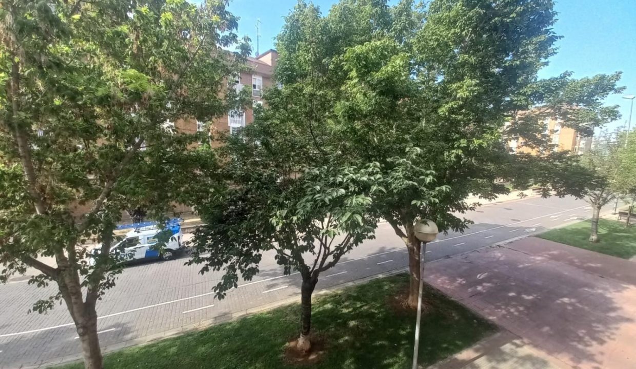 image_219128_32.jpg