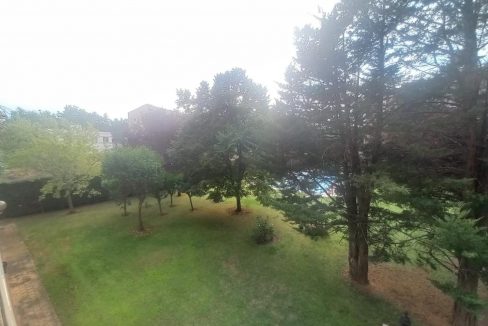 image_219264_20.jpg