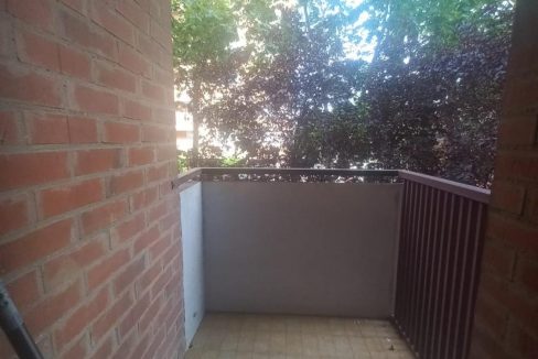 image_219264_31.jpg