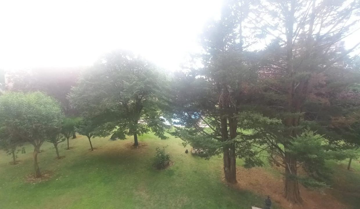 image_219264_4.jpg