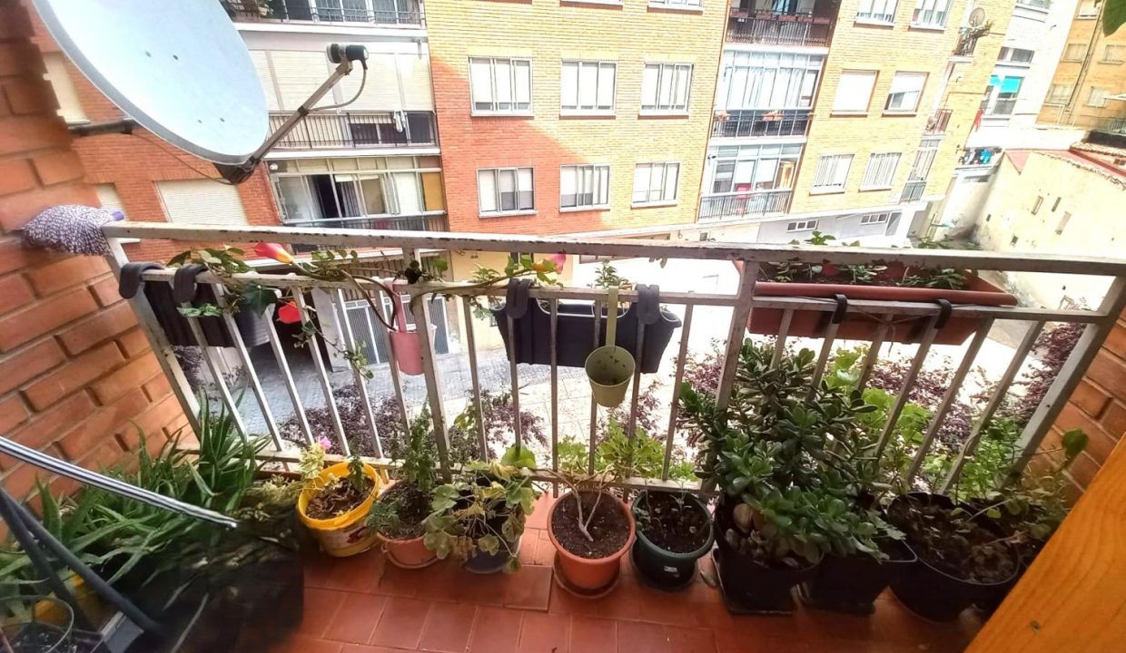 image_219326_29.jpg
