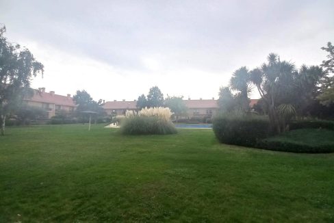 image_222029_43.jpg