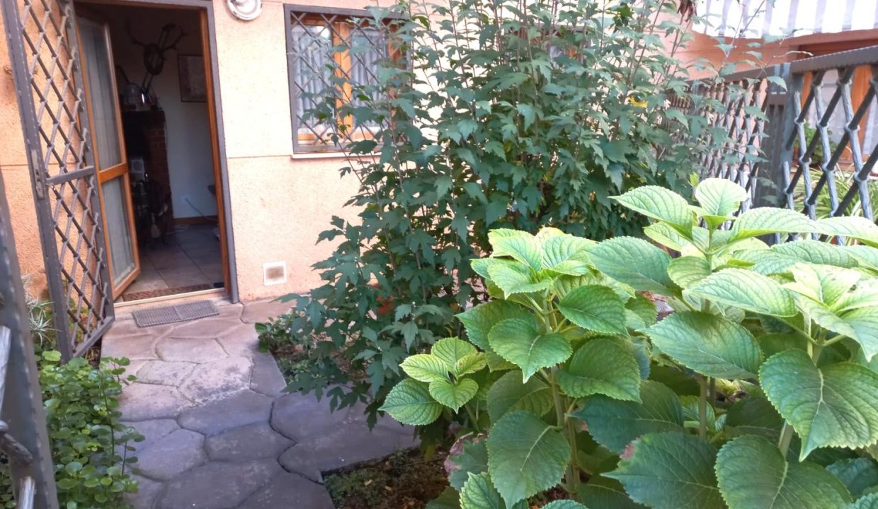 image_222767_20.jpg